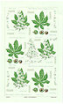 Chestnut, Irish Linen Tea Towel