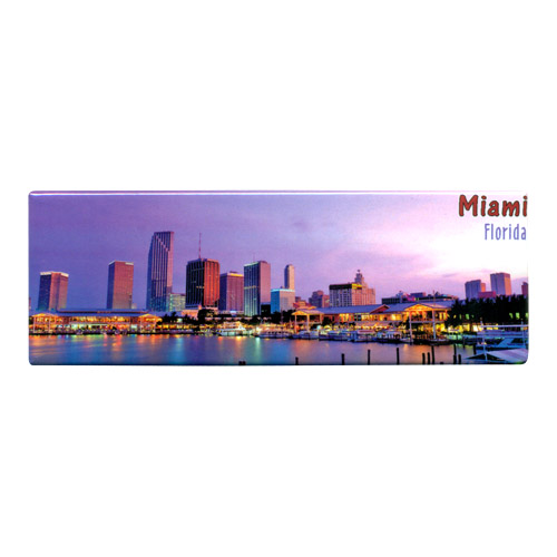 Panoramic View of Miami - Florida Souvenir Magnet, 4-5/8L