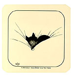 Set of 6 Coasters