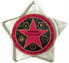 Hollywood Star - Star Shape Lucite Magnet