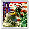USA Souvenir - Refrigerator Magnet