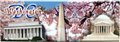 Washington, D.C. Souvenir Cherry Blossom Panoramic Magnet, 4-5/8L