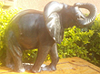 Elephant Sculpure, Stone Sculpture 16H