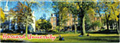 Harvard University Souvenir Metal Magnet - Panorama