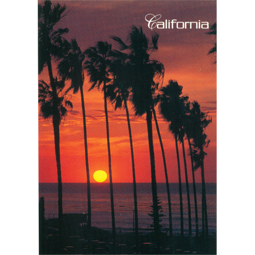 California Beach Sunset Postcard, Large