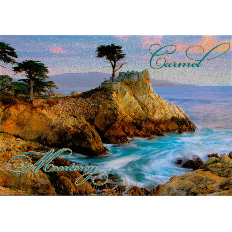 TheLone Cypress Tree Postcard, 4L x 6W