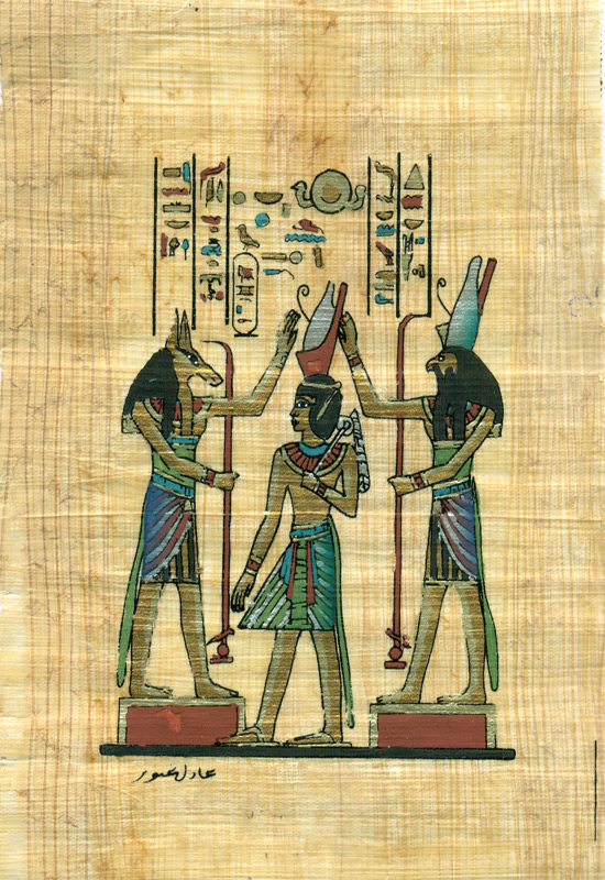 king tut papyrus tubers zone