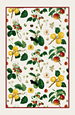 RHS Orchard - Linen Tea Towel