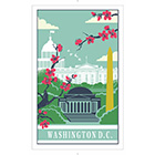 Washington D.C. Cotton Tea Towel – Cherry Blossom Design