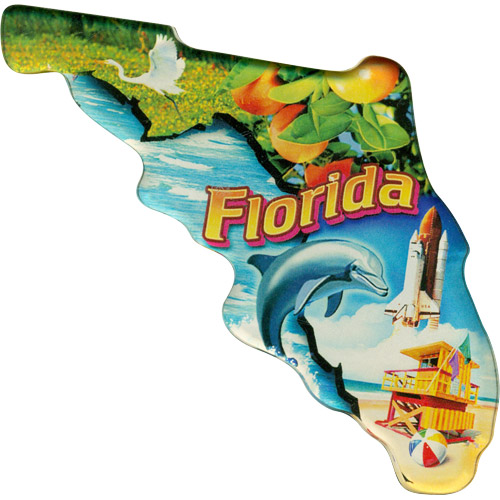 Florida Scenes State Map - Large Acrylic Magnet