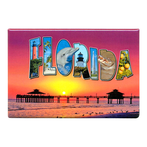 Florida Souvenir Metal Magnet, 3-1/8L