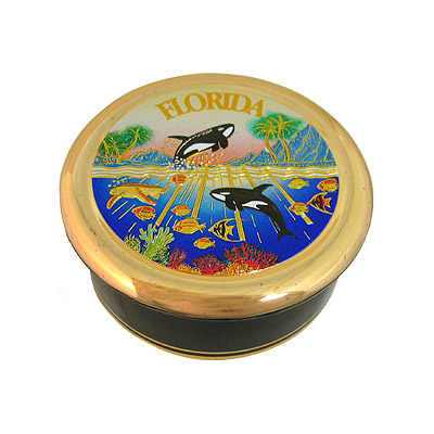 Chokin Jewelry Box - Florida Dolphins, Large