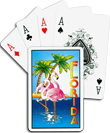 Florida Playing Cards