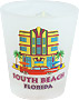 Florida South Beach Souvenir Shot Glass - Frost