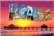 Florida Souvenir Metal Magnet, 3-1/8L