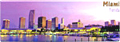 Panoramic View of Miami - Florida Souvenir Magnet, 4-5/8L