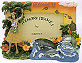 Hawaii Picture Frame