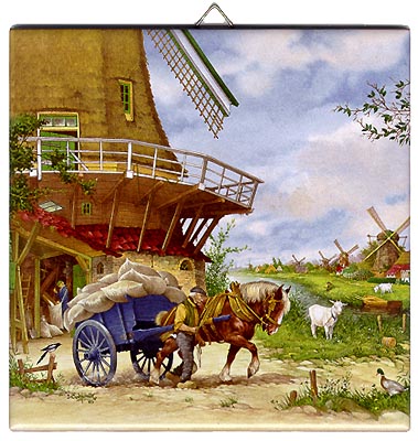 Dutch Tile, Color Miller, 6