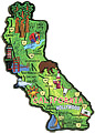 California State Map Wood Magnet