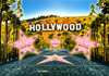 Hollywood Postcard, 4L x 6W