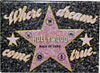 Hollywood Walk of Fame Star Souvenir Glitter Magnet