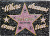Hollywood Walk of Fame Star Souvenir Glitter Magnet