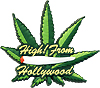 Greetings from Hollywood 