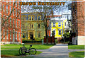 Brown University Metal Magnet
