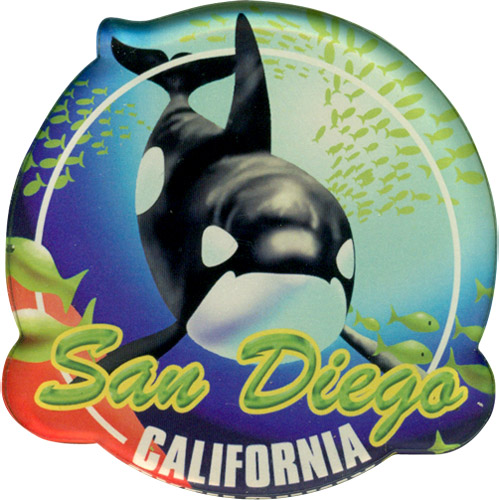 San Diego Souvenir Killer Whale Acrylic Magnet