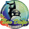 San Diego Souvenir Killer Whale Acrylic Magnet