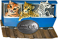 San Diego Souvenir Magnet, Zoo