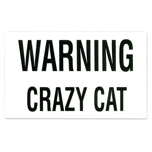 Crazy Cat Porcelain on Steel Magnet, 2-1/4L