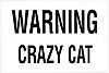 Crazy Cat Porcelain on Steel Magnet, 2-1/4L